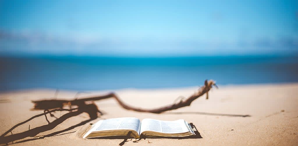 hay_que_leer_mas_libros