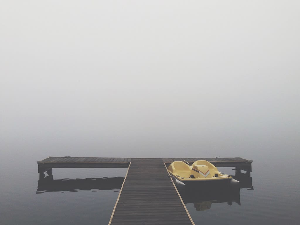 La niebla