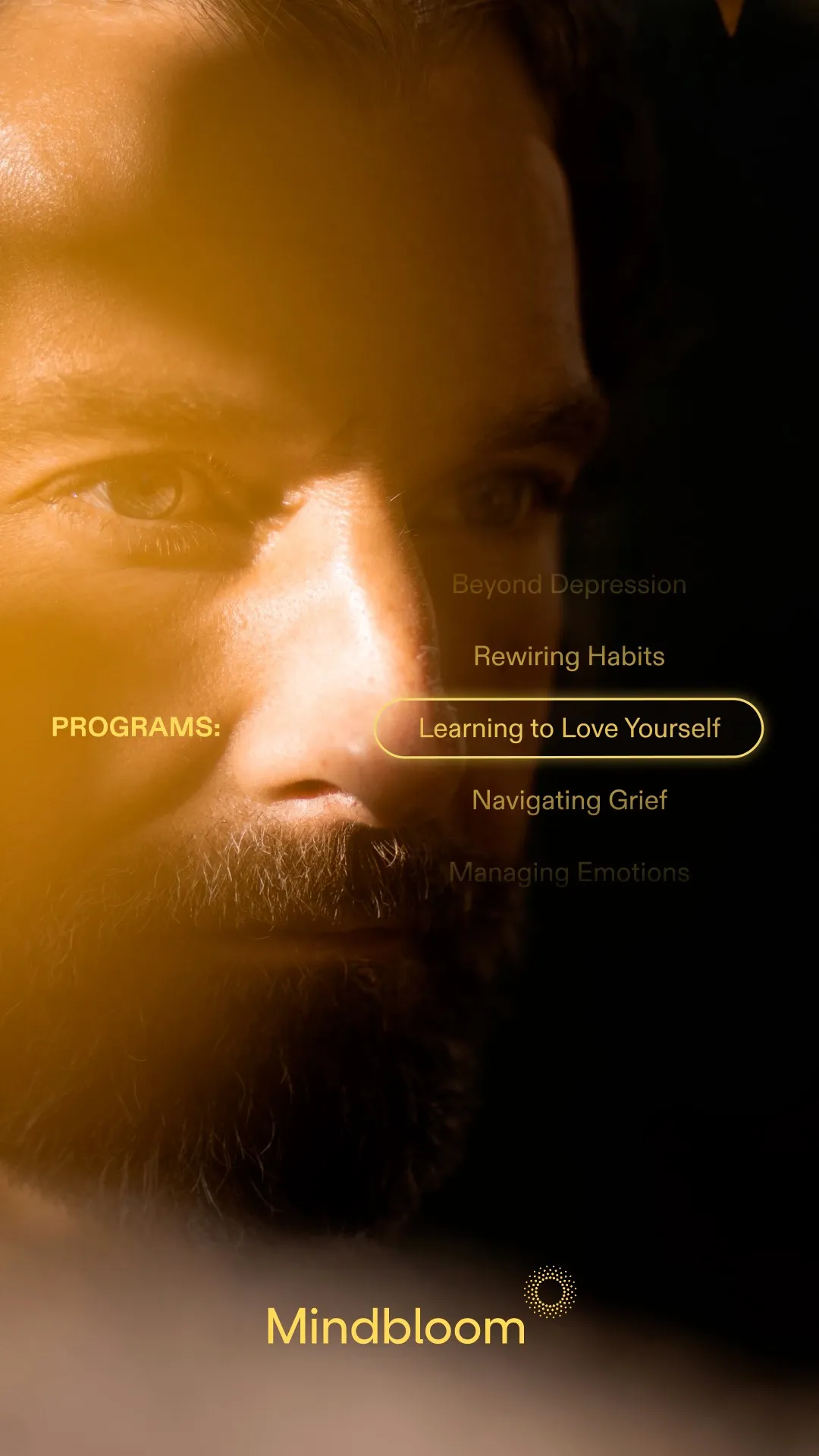 Mindbloom video
