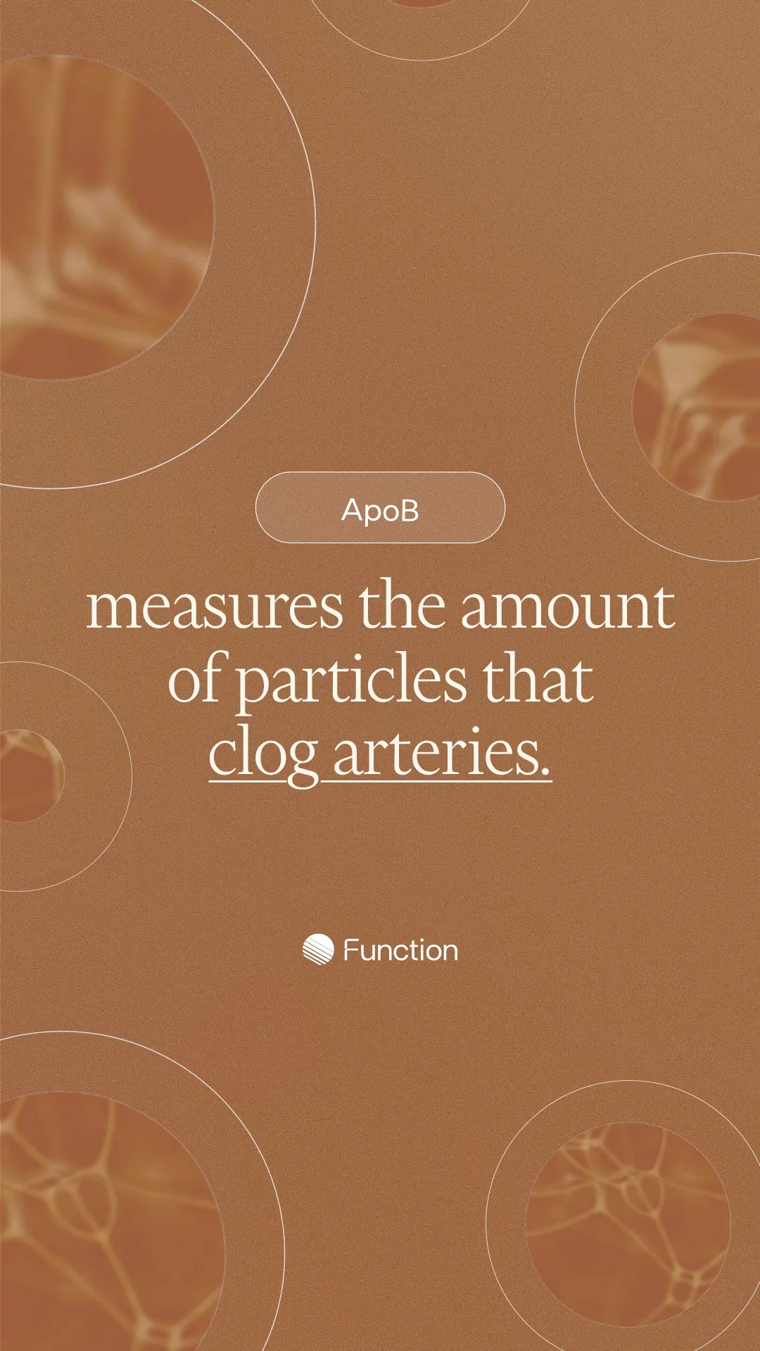 Function Health video