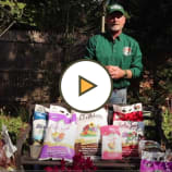 Fall Fertilizing Plants, Trees & Shrubs