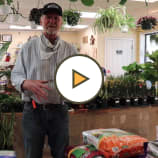 Organic Lawn Care Tips with Decker's Nursery