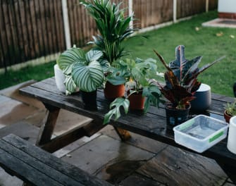 Indoor Plant Pots - How to Pick a Pot for Your Plant and Your Home - My  Tasteful Space