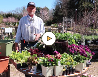Cool Weather Herbs & Vegetables with Decker's Nursery