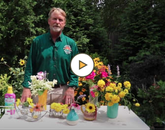 Creating Arrangements with Fresh Cut Garden Flowers