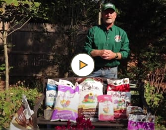 Fall Fertilizing Plants, Trees & Shrubs