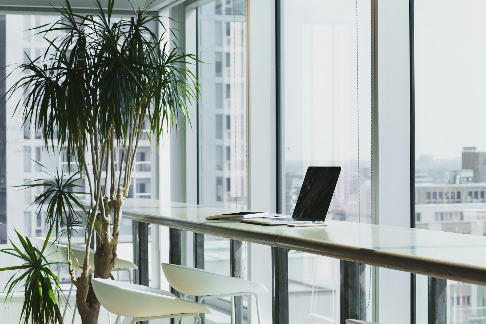 A bright, modern office overlooking the city