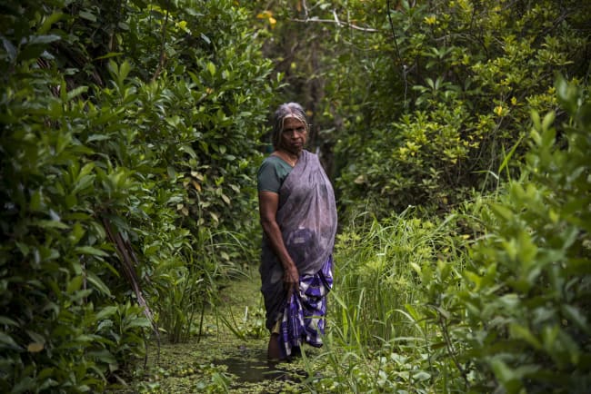 Kerala Flut - Kuttanad ertrinkt in Kloake
