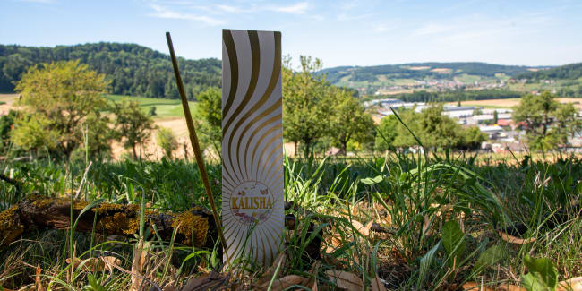 Paropakaram schafft Labdanum R&auml;ucherst&auml;bchen f&uuml;r KALISHA