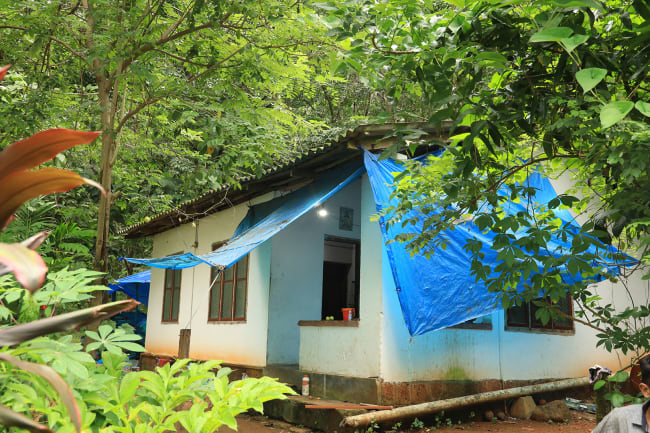 Haus Not-Renovation