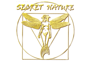 Secret Nature