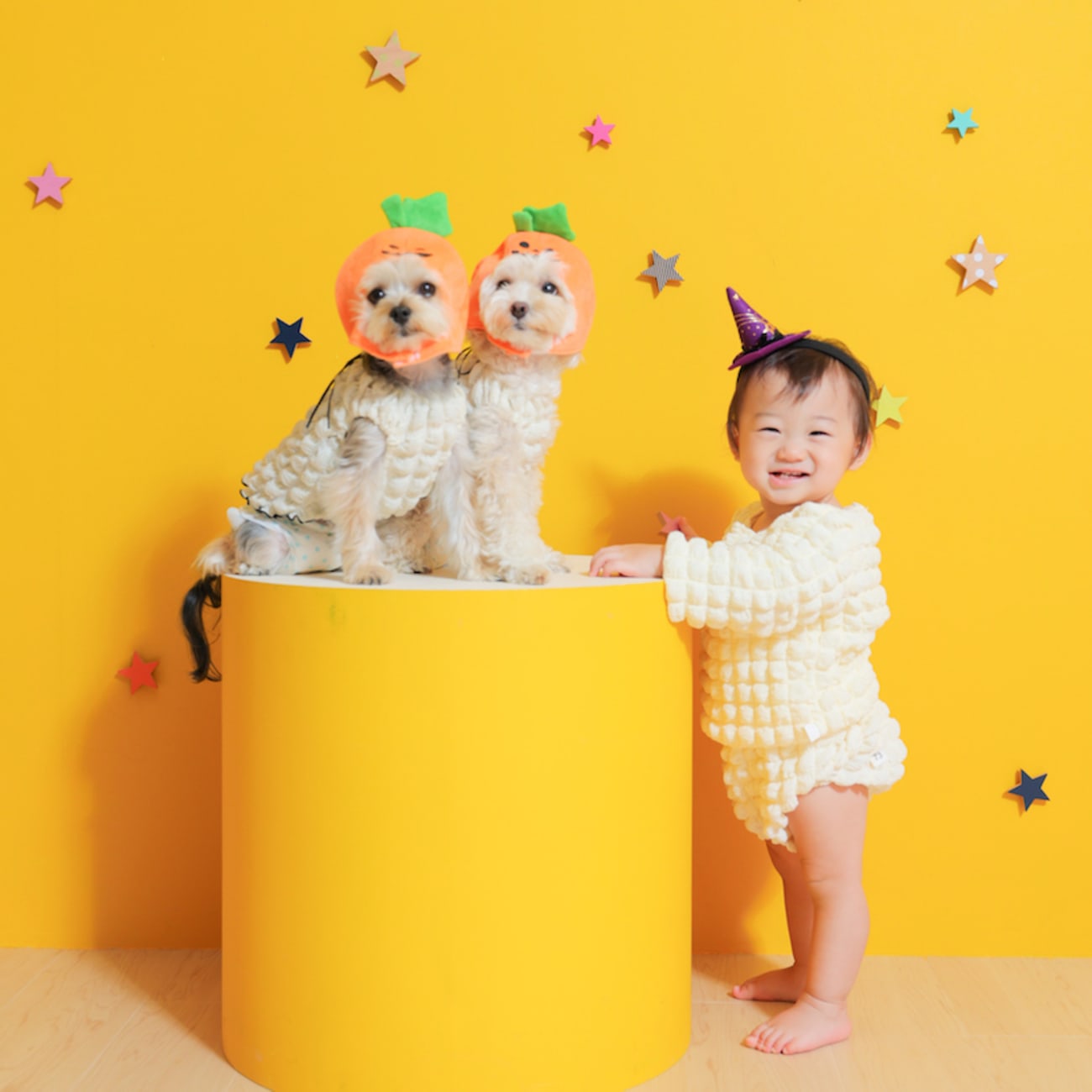 ペットとの撮影が人気ですっ🐾