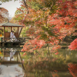 京都自然公園