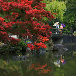 鶴舞公園