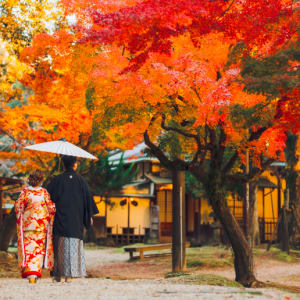 Nara Park