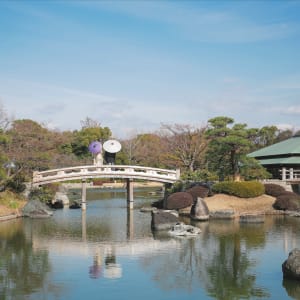 Daisen Japanese Garden