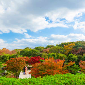 Daisen Japanese Garden