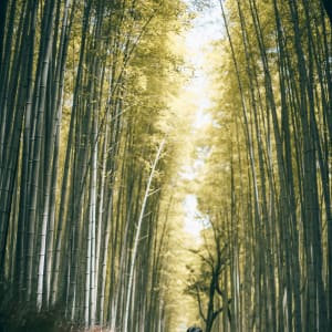 Arashiyama