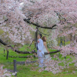 京都自然公園