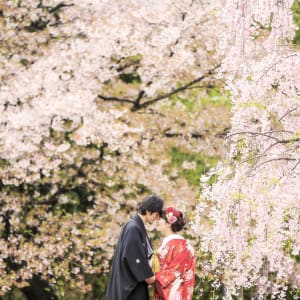 Daisen Japanese Garden
