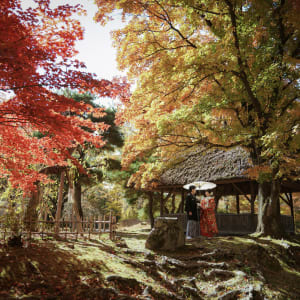 小諸懐古園