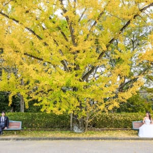 京都自然公園