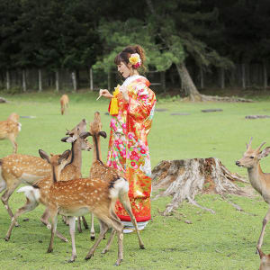 Nara Park