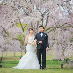 Daisen Japanese Garden