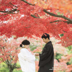 Daisen Japanese Garden