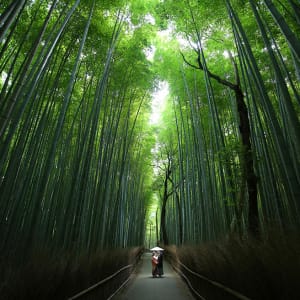 Arashiyama