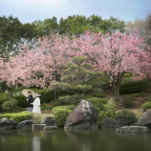 Daisen Japanese Garden