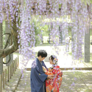 舞鶴公園