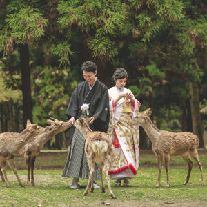 Nara Park