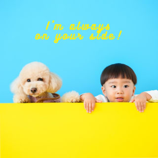バースデー　お誕生日　男の子　わんちゃん　キッズ写真　HAPISTA