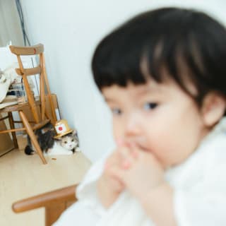 バースデー　お誕生日　女の子　ねこちゃん　キッズ写真　HAPISTA