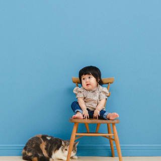 バースデー　お誕生日　女の子　ねこちゃん　キッズ写真　HAPISTA