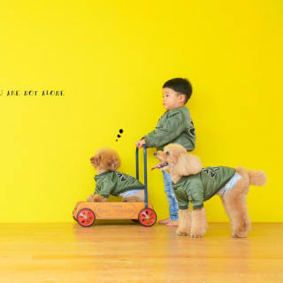 バースデー　お誕生日　男の子　わんちゃん　キッズ写真　HAPISTA