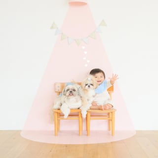 バースデー　お誕生日　わんちゃん　キッズ写真　HAPISTA