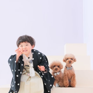 七五三　3歳　男の子　着物 　犬　トイプードル