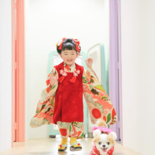 七五三　3歳女の子　可愛い　カラフル　わんちゃん　キッズフォトスタジオ　ハピスタ