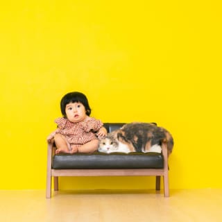 バースデー　お誕生日　女の子　ねこちゃん　キッズ写真　HAPISTA