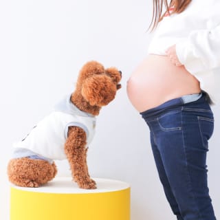 マタニティ　ペット撮影
