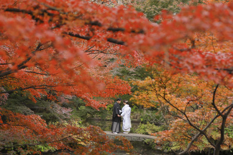 池田山公園