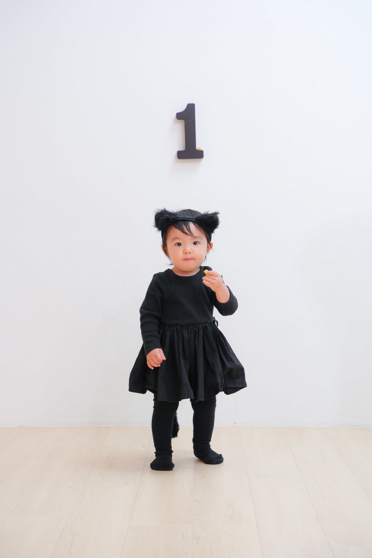 まずは一着目猫さんから😻