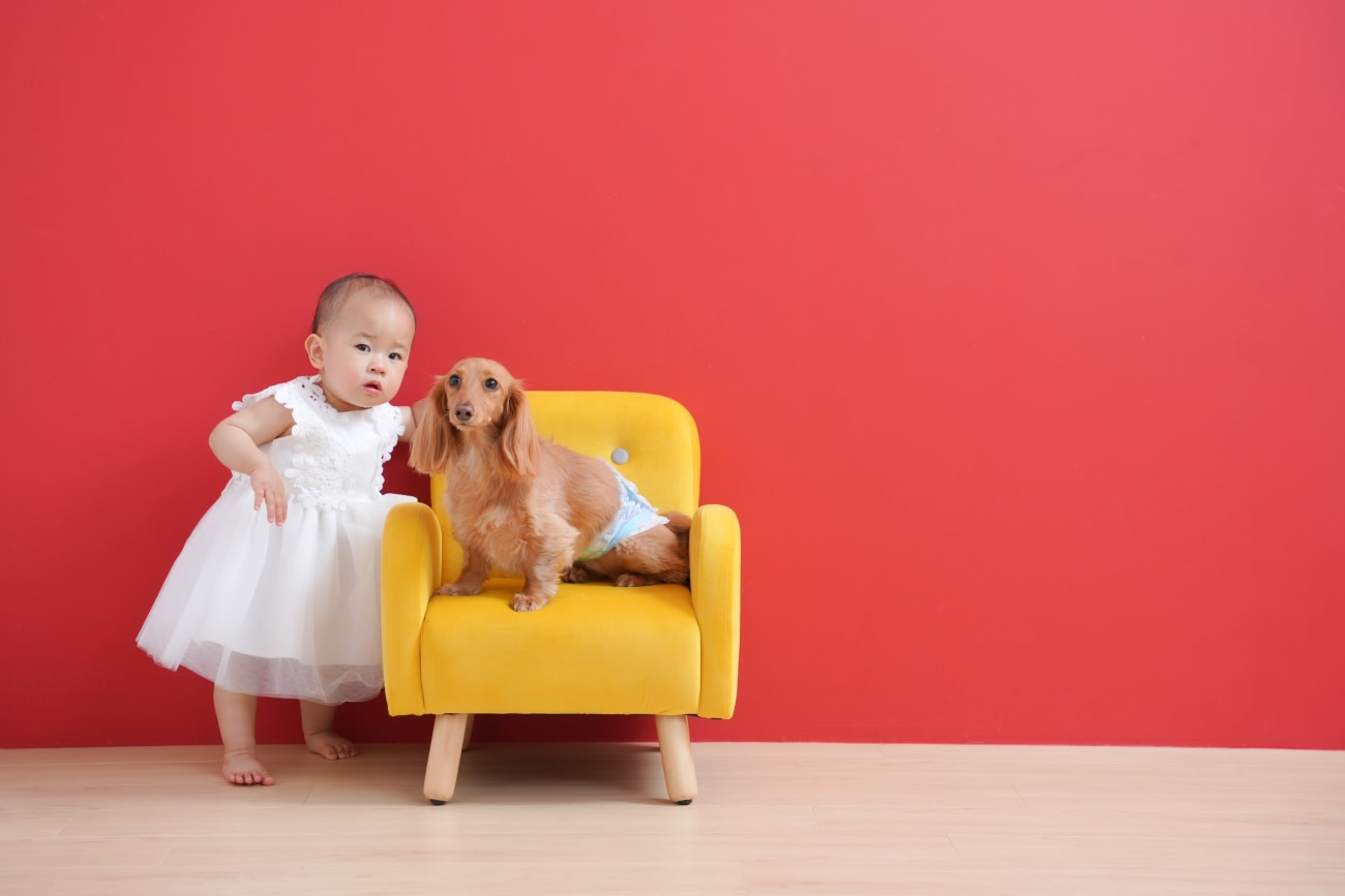 仲良く一緒に成長する相棒 👶 🐶