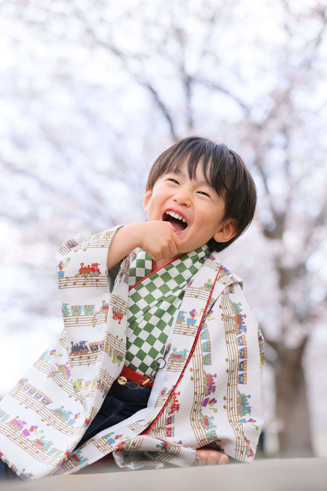 着物でさくら🌸
