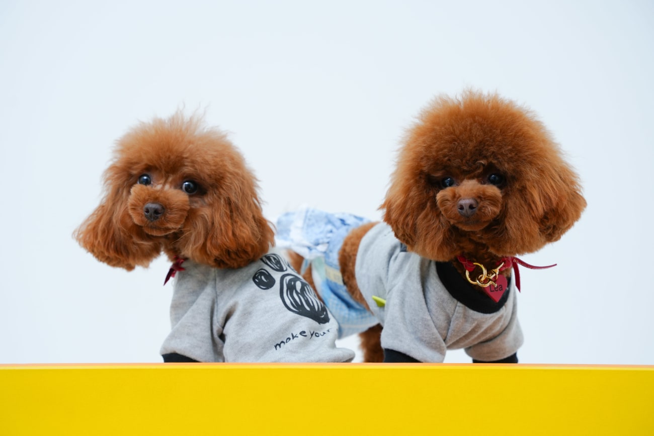 雑誌📕の表紙！？