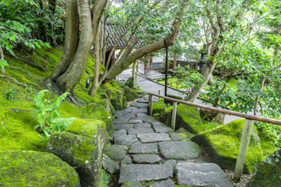 古都 鎌倉を半日でめぐる 寺社や海 グルメも楽しむ観光コース 旅先で特別な結婚写真が残せるフォトジェニックジャーニー By De Co