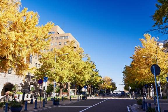 横浜の必見紅葉スポット！絶景ライトアップと日帰りモデルコースにも注目