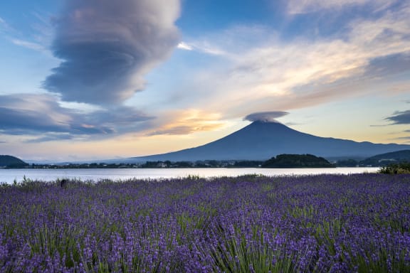 富士山河口湖観光1泊2日モデルコース！絶景とグルメを楽しむ贅沢旅